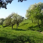 Guest house Himmelreich 3*