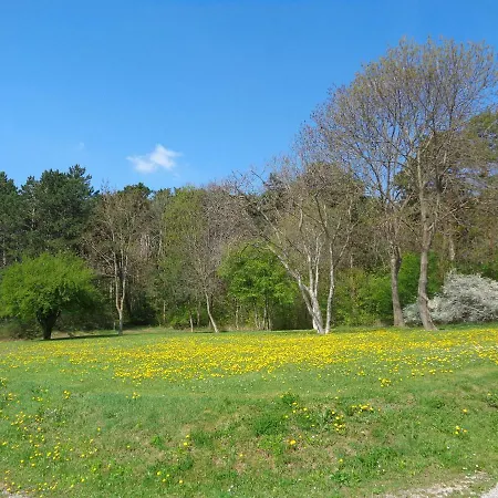 Himmelreich Πανσιόν