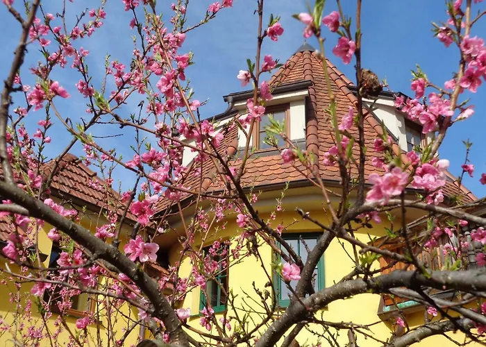 Himmelreich Guest house