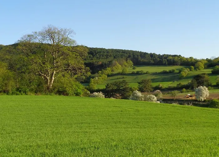 Himmelreich Guest house 3*