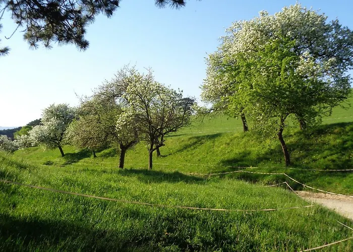 Guest house Himmelreich 3*