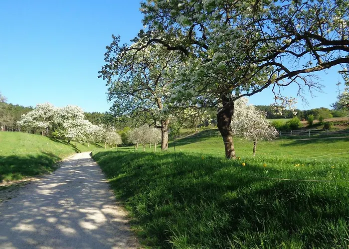 Guest house Himmelreich