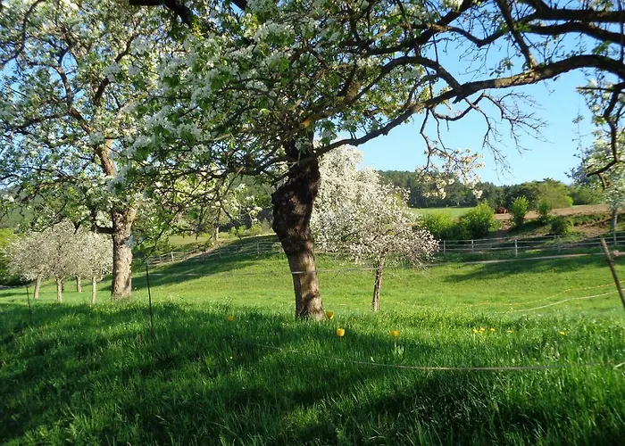 Himmelreich Guest house 3*